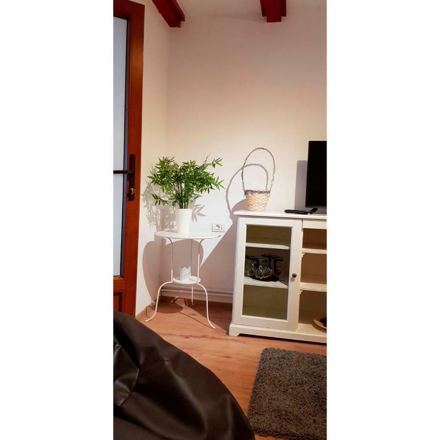 Vaso Apartament Σινάια Εξωτερικό φωτογραφία