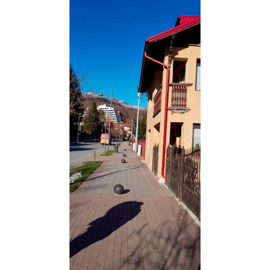 Vaso Apartament Σινάια Εξωτερικό φωτογραφία