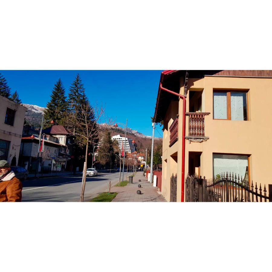 Vaso Apartament Σινάια Εξωτερικό φωτογραφία