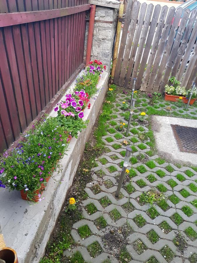 Vaso Apartament Σινάια Εξωτερικό φωτογραφία